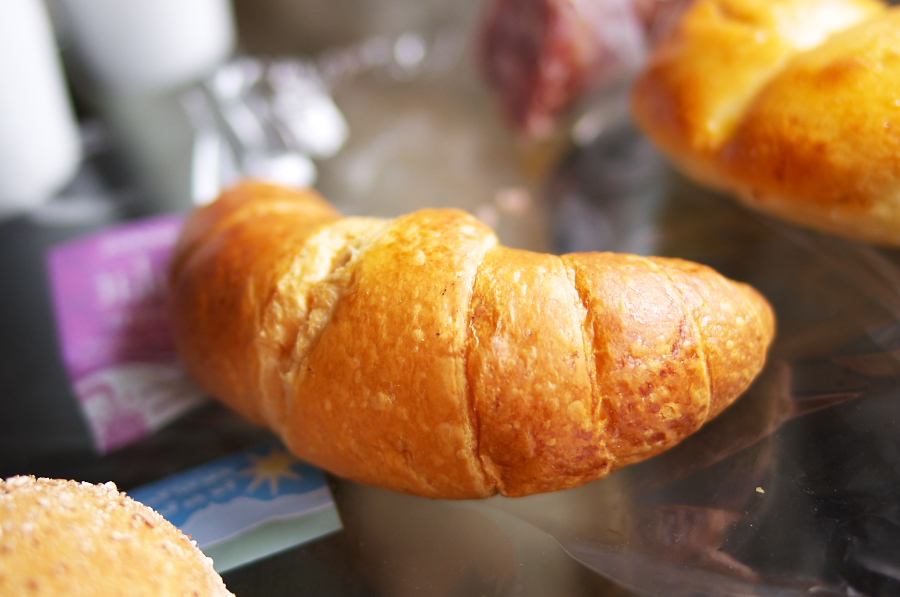 IMGP4164.jpg(222377 byte)