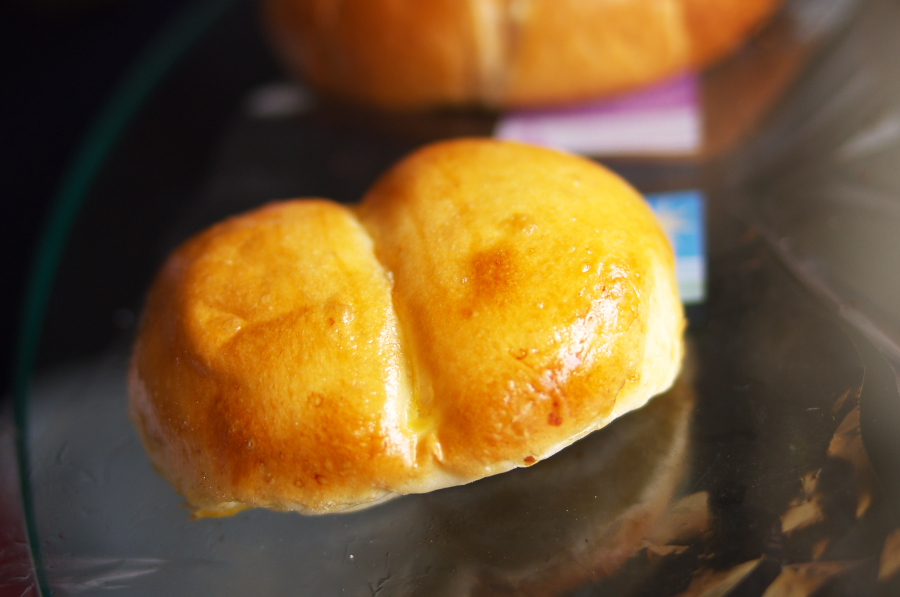 IMGP4166.jpg(191575 byte)