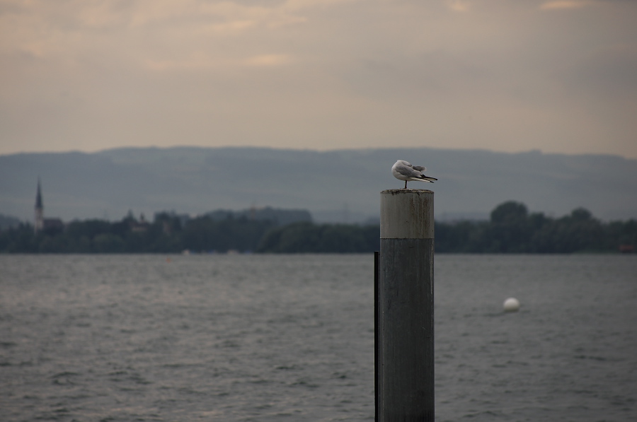 IMGP3917.jpg(131809 byte)