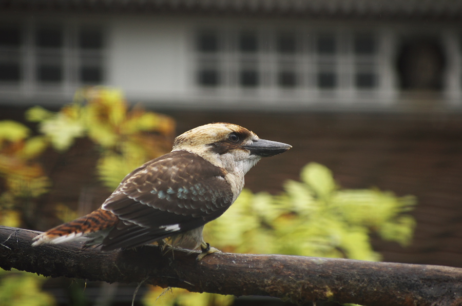 IMGP3944.jpg(202566 byte)