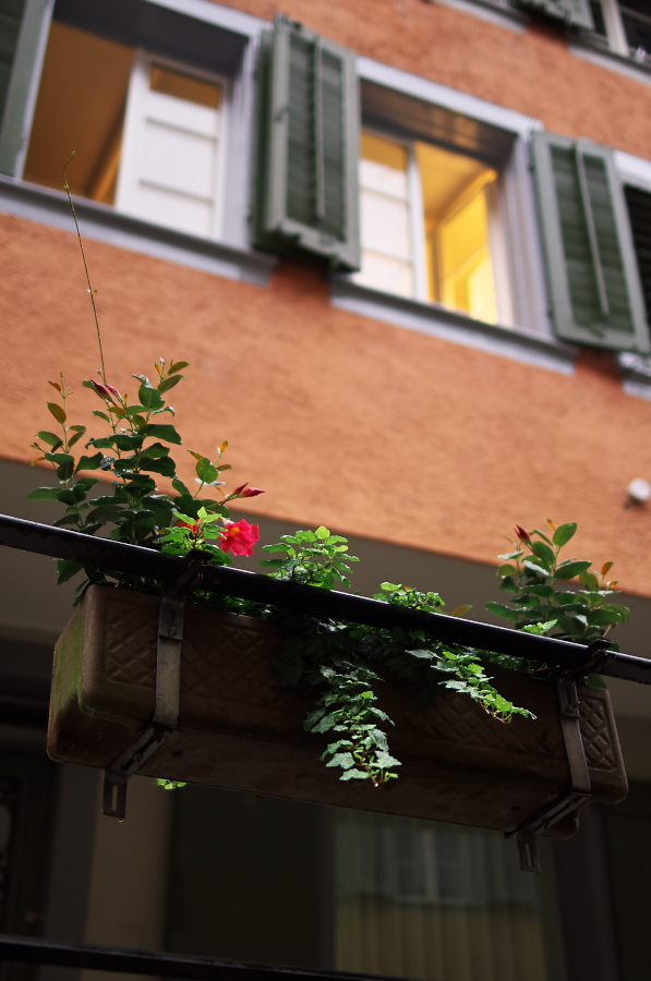 IMGP4078.jpg(220696 byte)