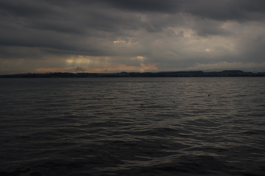 IMGP4136.jpg(186168 byte)