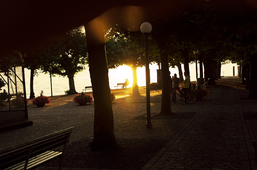 IMGP4205.jpg(305005 byte)