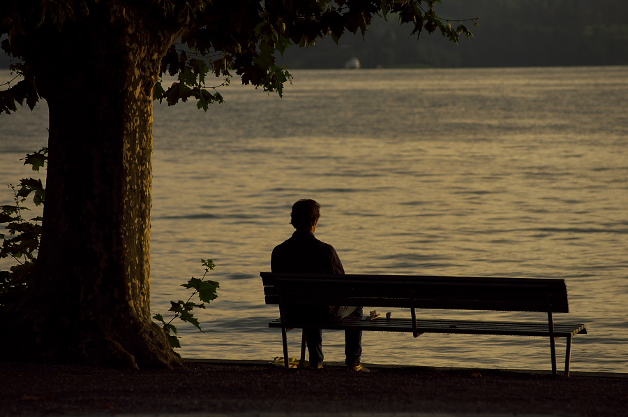 IMGP4214.jpg(253439 byte)