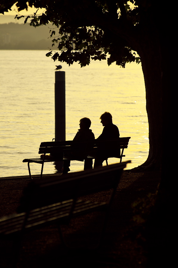 IMGP4221.jpg(209748 byte)