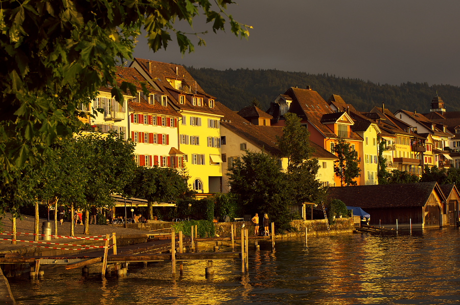 IMGP4233.jpg(514632 byte)