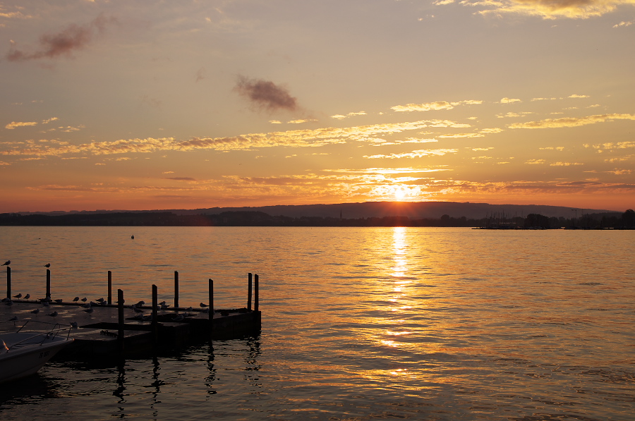 IMGP4300.jpg(312477 byte)