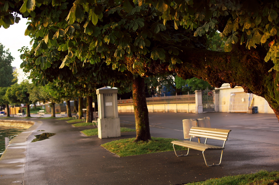 IMGP4308.jpg(421805 byte)