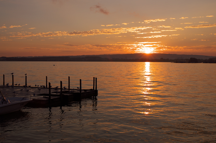 IMGP4313.jpg(302219 byte)