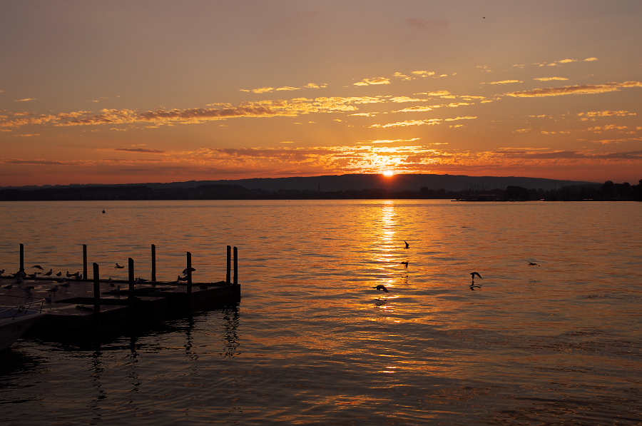 IMGP4327.jpg(311407 byte)