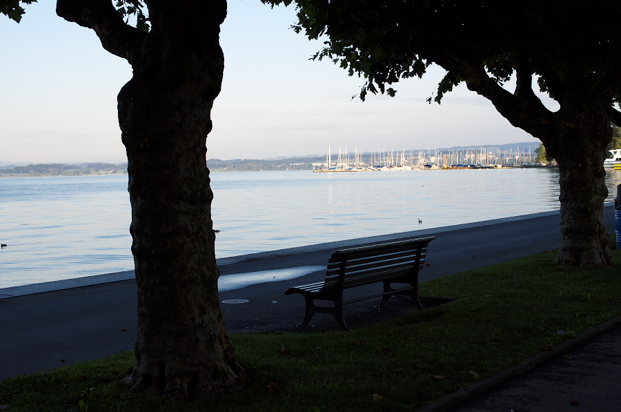 IMGP4415.jpg(245456 byte)