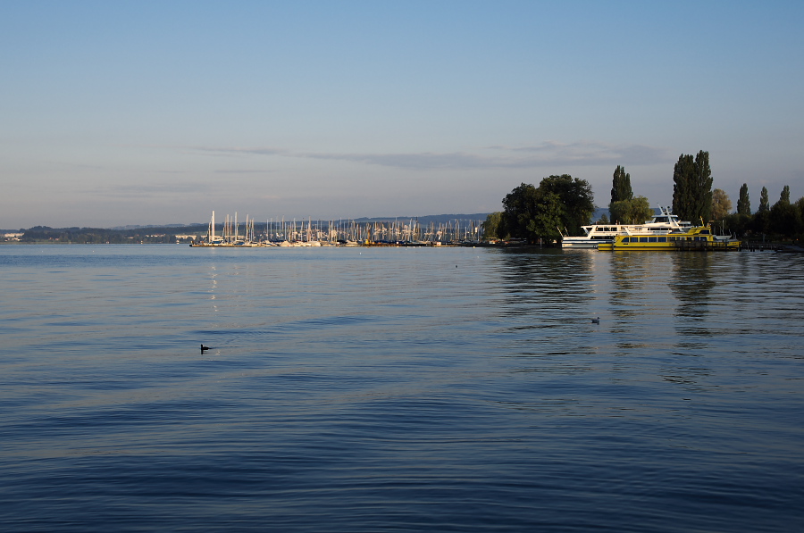 IMGP4423.jpg(225164 byte)