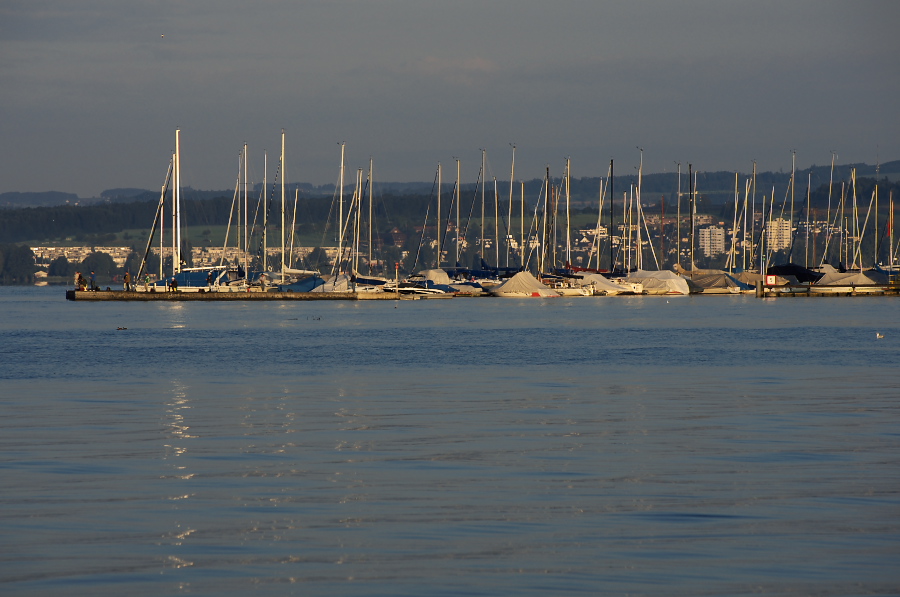 IMGP4435.jpg(239738 byte)