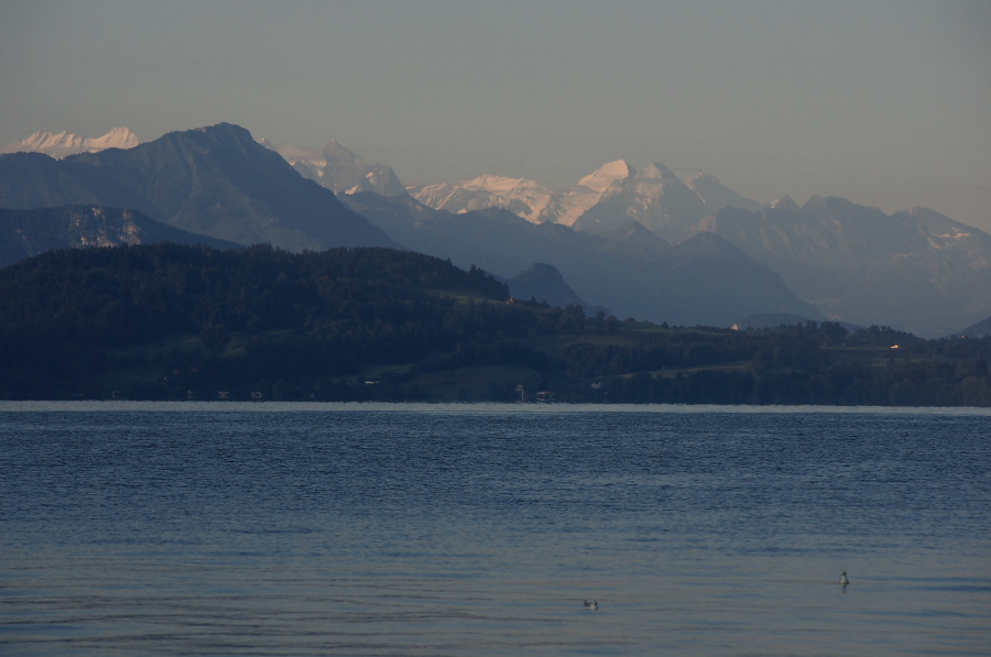 IMGP4447.jpg(201043 byte)