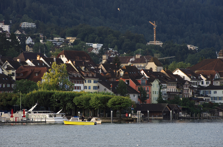 IMGP4449.jpg(386404 byte)