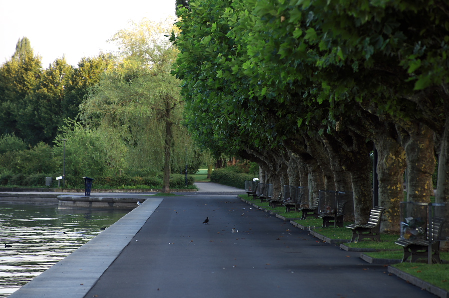 IMGP4457.jpg(349059 byte)