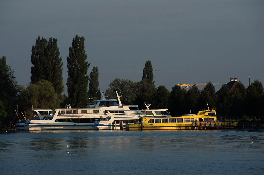 IMGP4467.jpg(263369 byte)