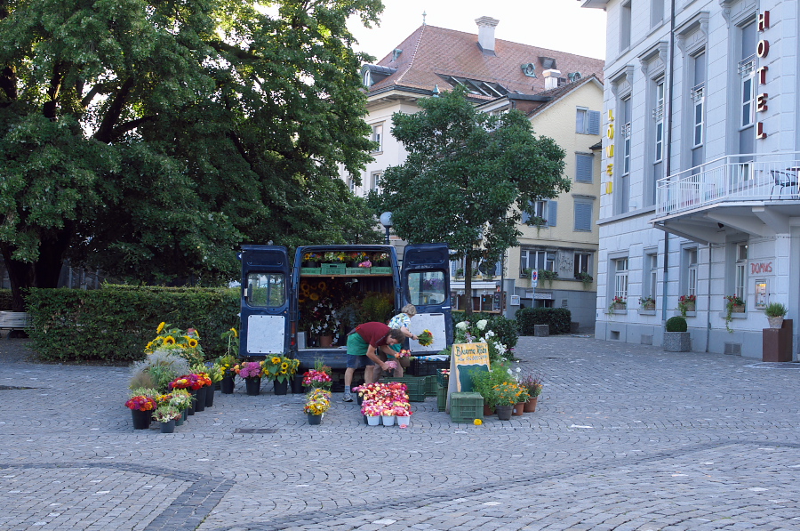 IMGP4509.jpg(504231 byte)