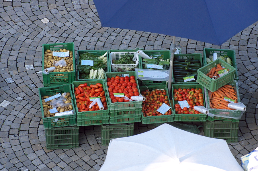 IMGP4528.jpg(438986 byte)