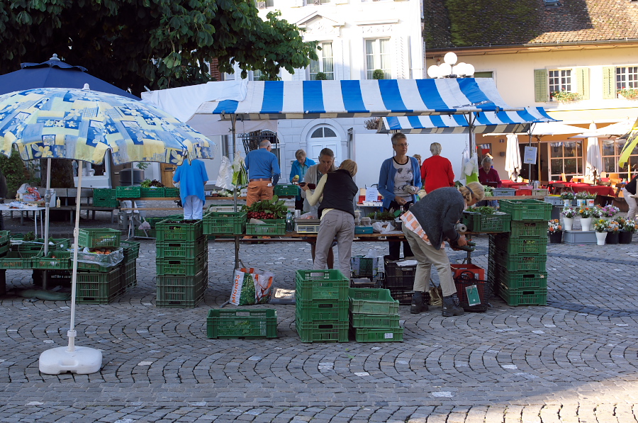 IMGP4598.jpg(477325 byte)