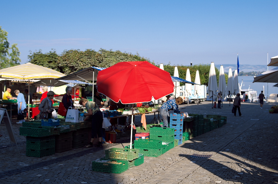 IMGP4617.jpg(331129 byte)