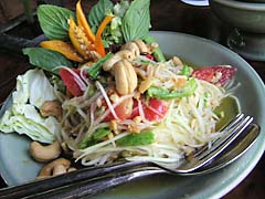 �p�p�C���T���_