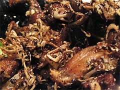 �t���b�O���b�O�@�����Ă�