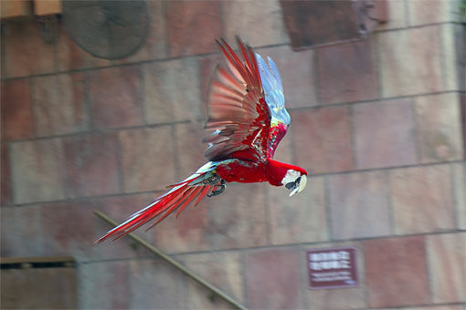 �C�m����