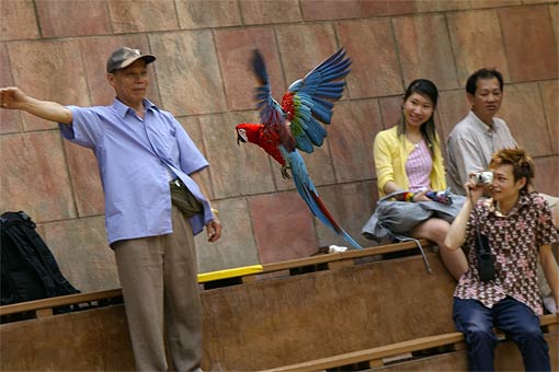 �C�m����