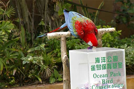 �C�m����