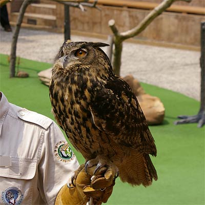 �C�m����