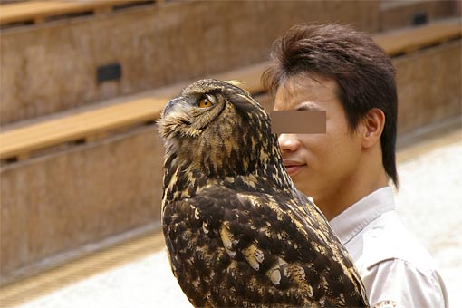 �C�m����