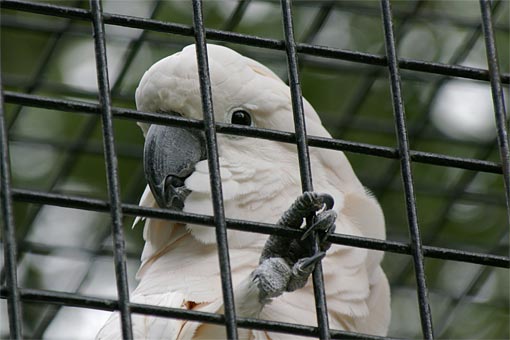 �C�m����