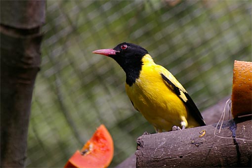 �C�m����