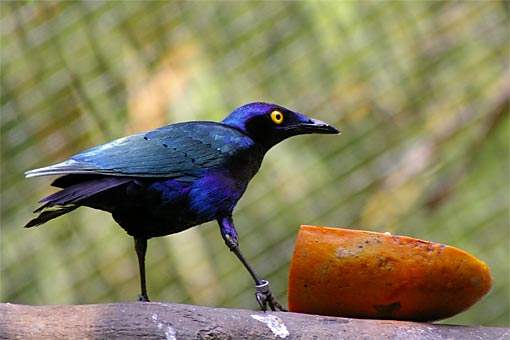 �C�m����