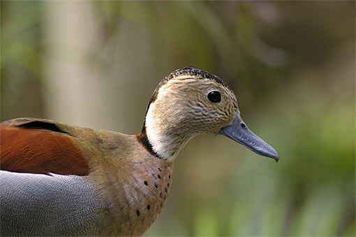 �C�m����