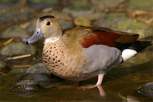 �C�m����