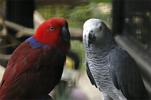 �C�m����