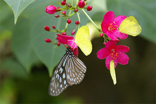 �C�m����