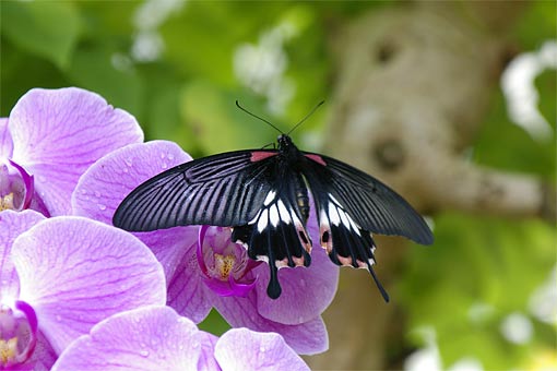 �C�m����