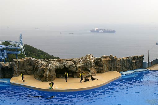 �C�m����