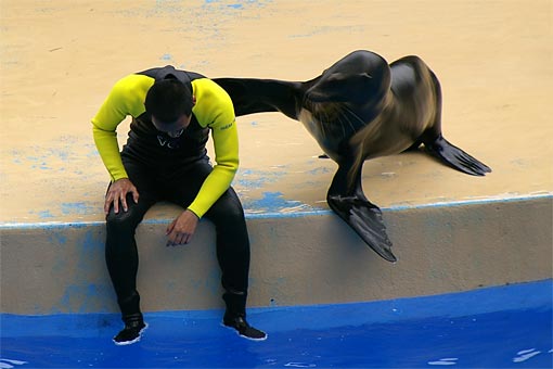 �C�m����