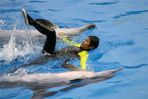 �C�m����