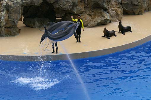 �C�m����