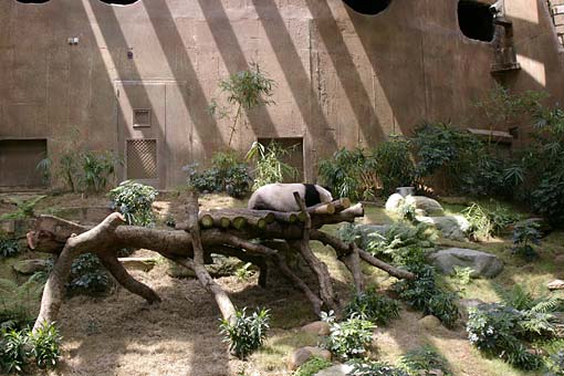 �C�m����