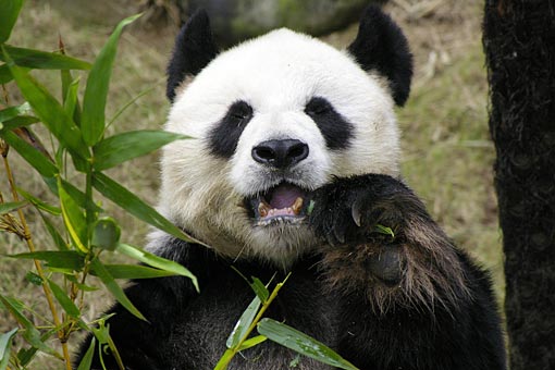 �C�m����