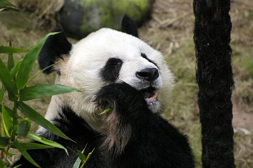 �C�m����