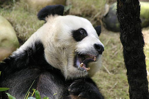 �C�m����