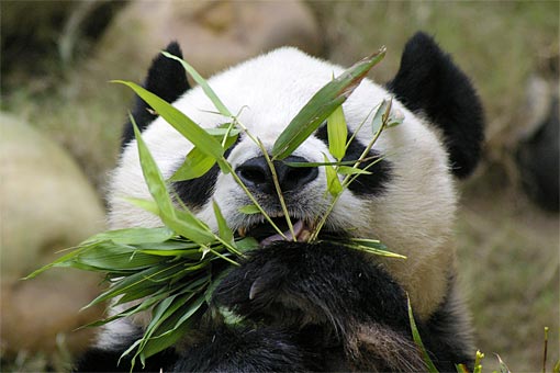 �C�m����