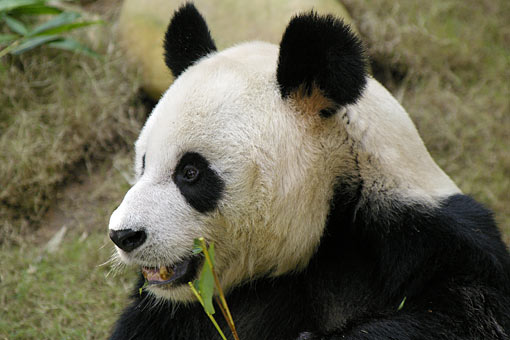 �C�m����